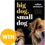Win a Copy of Big Dog, Small Dog Book by Selina McIntyre @ Good Magazine