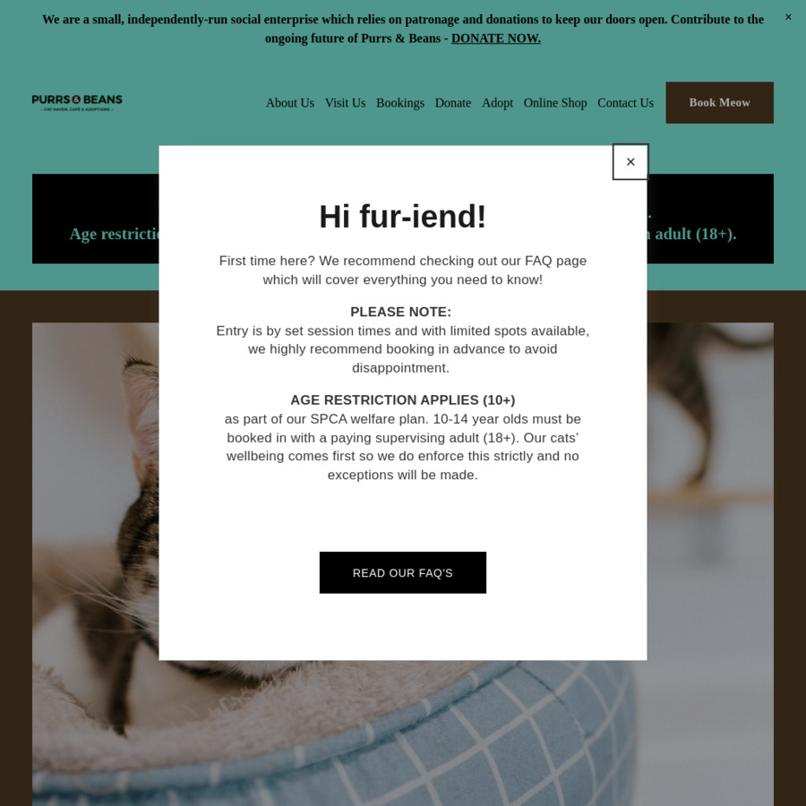 General Entry 12.54 (Usually 16.50) Purrs and Beans Cat Café