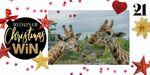 Win a Family Pass to Auckland Zoo from Mindfood