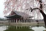 Seoul, South Korea from $864 Return [May & June Dates] on China Eastern @ Beat That Flight