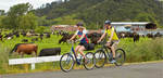Win Bike Hire + Free Entry to Hauraki Rail Trail (4 People), Bus Ride Back to Your Car