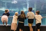 [CHCH] Free Entry for up to 3 Children with Every Paying Adult Fare (Excludes Student/Senior) @ International Antarctic Centre