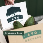 Win 20 Avacados from Our Place Magazine