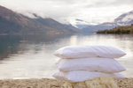 Win Wright Wool 1 standard pillow & 1 deluxe pillow @ Verve Magazine