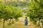 Win a tour for two of Black Quail Estate and truffière during truffle season, worth $500 @ This NZ Life