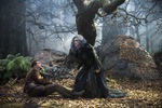 Win 1 of 3 Copies of into The Woods on DVD from Diversions