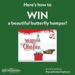 Win a Butterfly Hamper (Worth $250) from Moths and Butterflies of NZ Trust