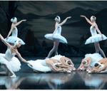 Win Return Flights for 2 to Christchurch on New Years, 1nt Hotel, Swan Lake Tix or 1 of 30 Double Passes to Swan Lake