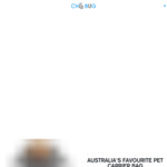 All In One Pet Carrier Bag | 20% Discount + Free Shipping Aus/NZ Wide @ChillBug