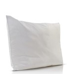 300gsm Plain Pillows & 500gsm Coloured Pillows - $3 each @ Briscoes (Clearance)